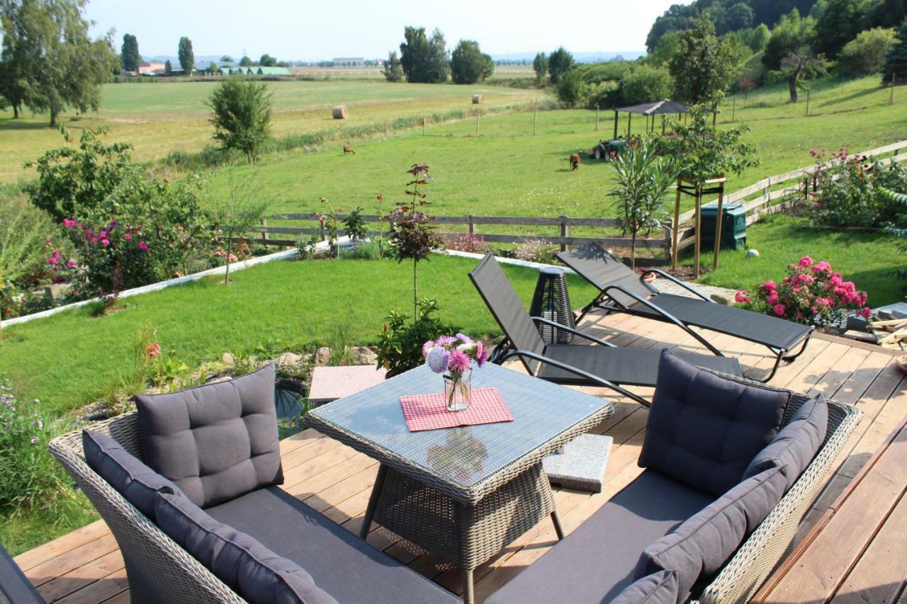 Ferienhof Graefe - 3-Seiten Hof Mit Grossem Garten, Pool & Sauna Meißen Dış mekan fotoğraf